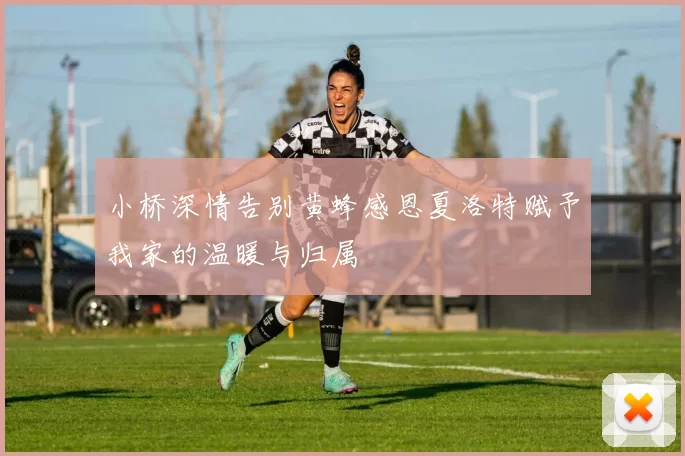 小桥深情告别黄蜂感恩夏洛特赋予我家的温暖与归属